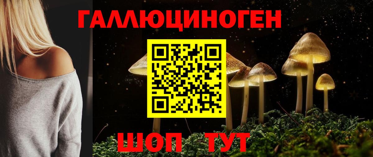 Черкесск  Галлюциногенные грибы мицелий  Псилоцибиновые грибы прущие грибы  Вход с VPN 